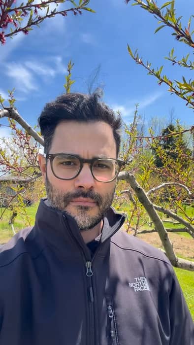 Some facts about young orchard trees